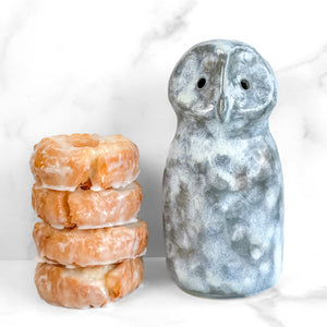 Owl Study 12