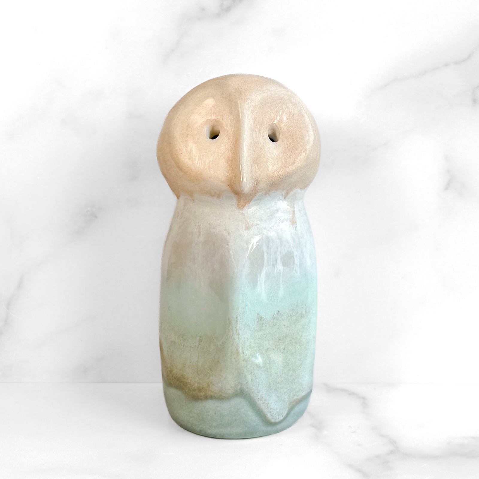 Owl Study 13