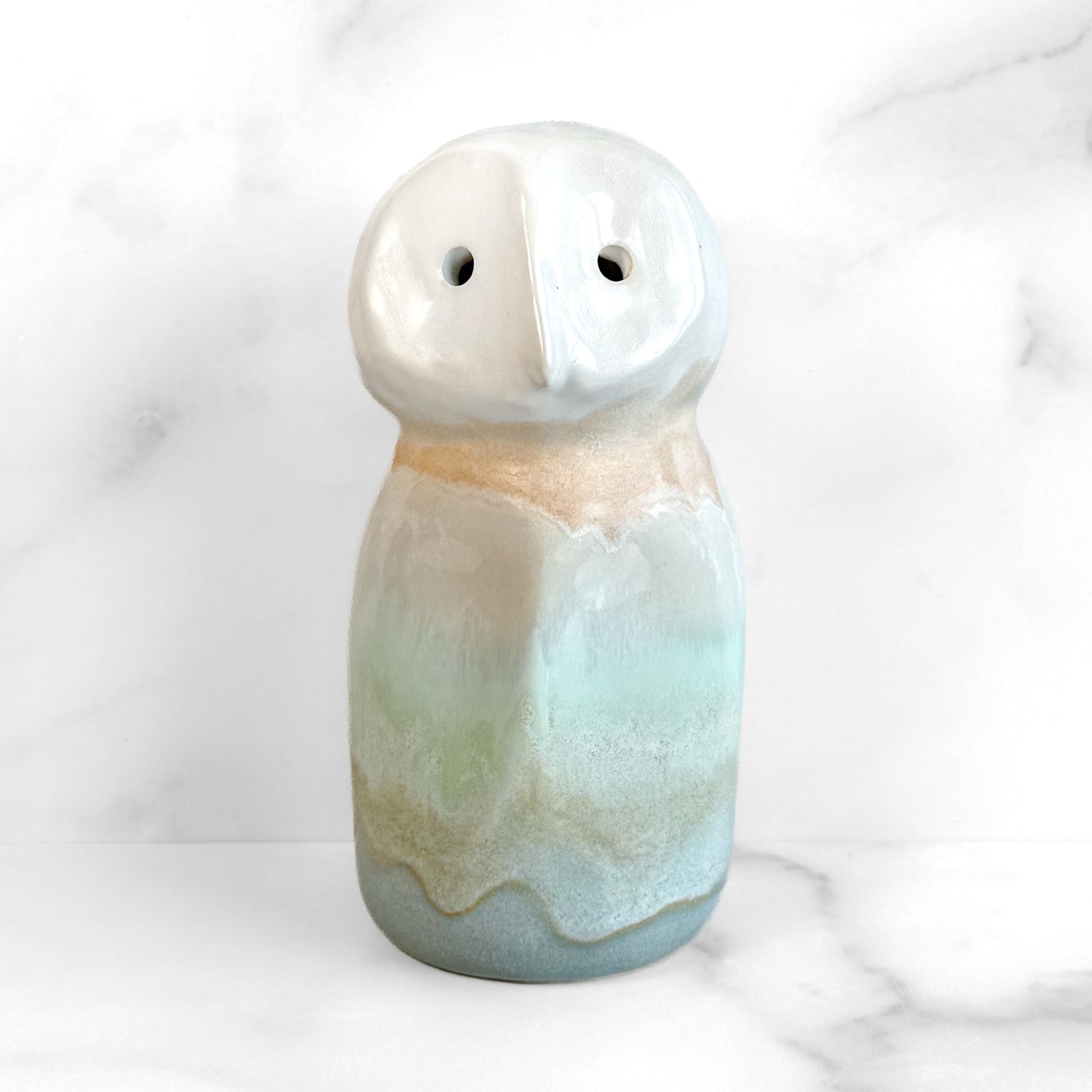 Owl Study 11