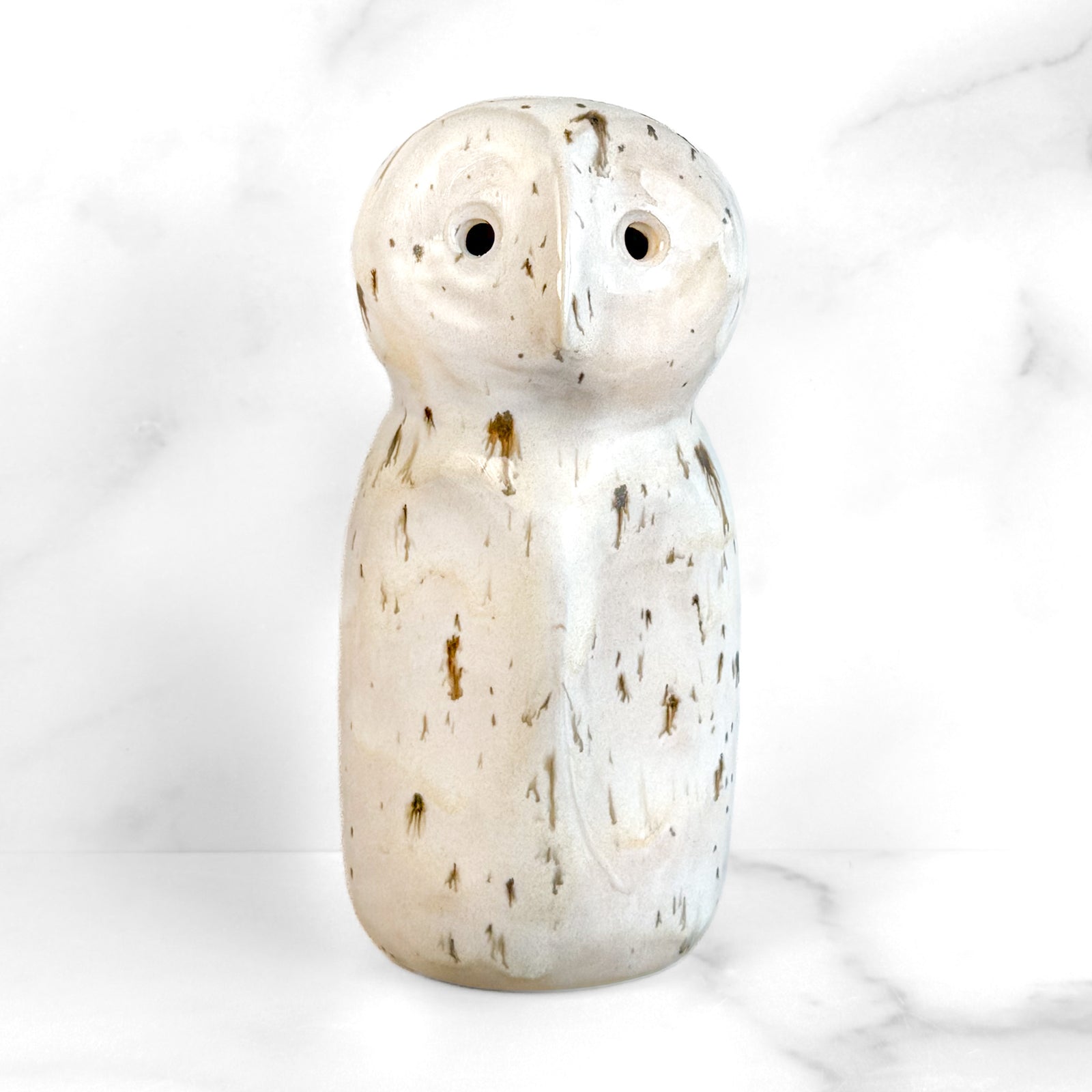 Owl Study 15